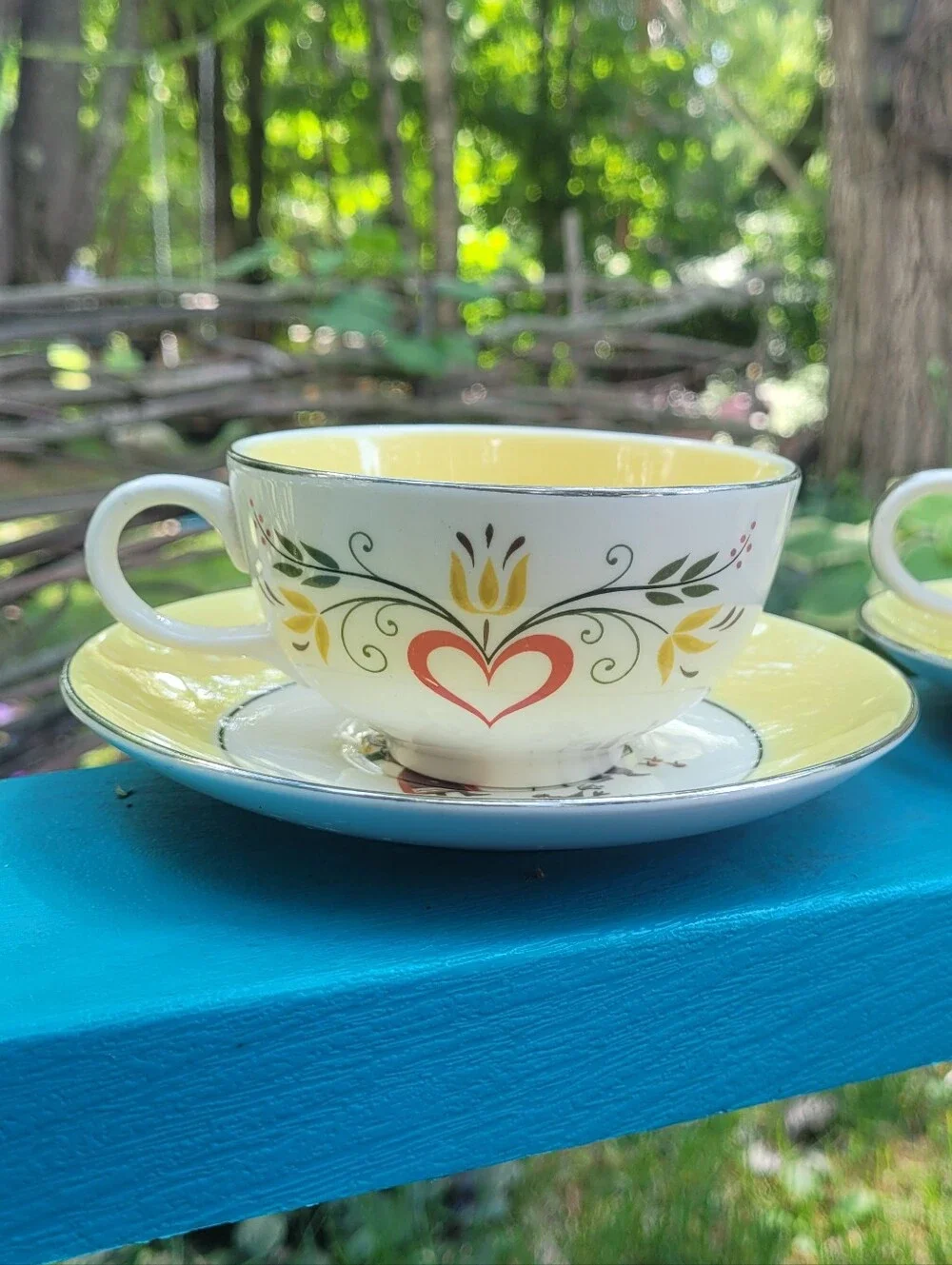 Dutch Farmer Tea Cups & Saucer Plate Set Farmhouse Farmers Wife Cottagecore